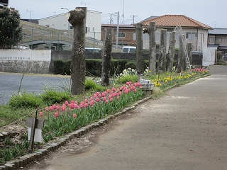 IMG_0344 IMG_0344