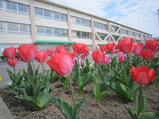 IMG_0363 IMG_0363