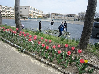 IMG_0360 IMG_0360