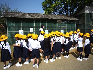IMG_0121 IMG_0121