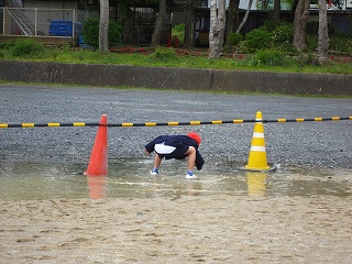 IMG_0275 IMG_0275