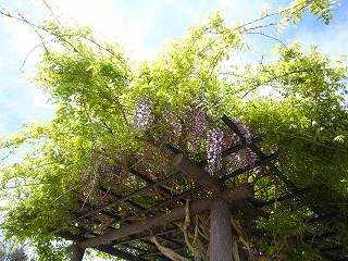 IMG_0298 IMG_0298