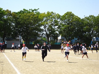 IMG_0372 IMG_0372