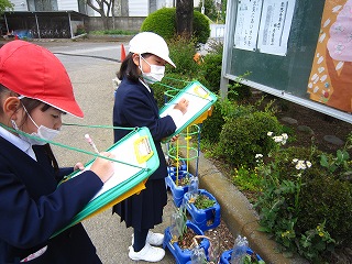 IMG_0279 IMG_0279