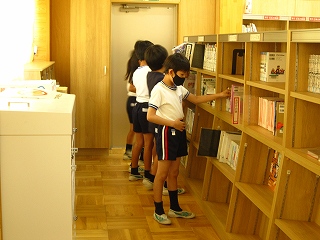 IMG_0379 IMG_0379