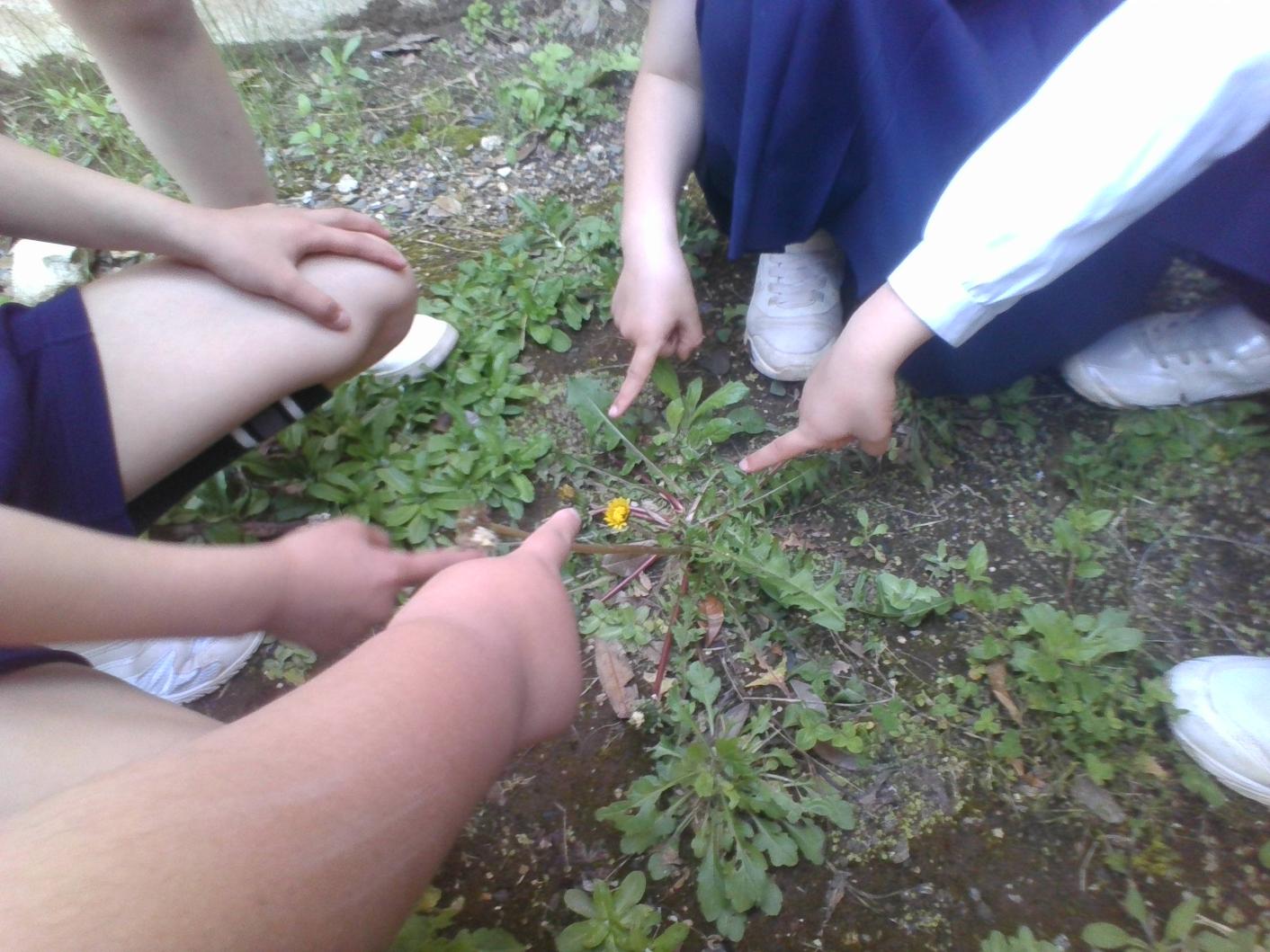 IMG_20230428_103416 IMG_20230428_103416