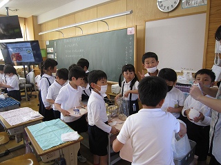 IMG_0431 IMG_0431