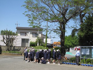 IMG_0062 IMG_0062