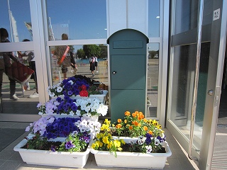 IMG_0113 IMG_0113