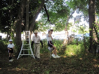 IMG_0164 IMG_0164