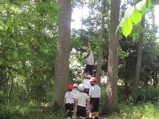 IMG_0175 IMG_0175