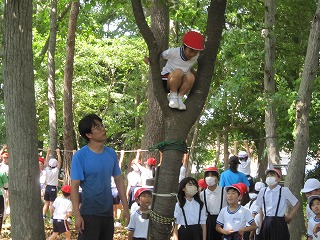 IMG_0177 IMG_0177