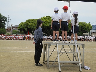 IMG_0189 IMG_0189