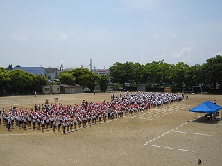 IMG_0196 IMG_0196