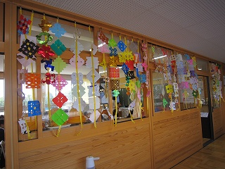 IMG_0238 IMG_0238