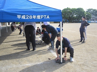 IMG_0249 IMG_0249