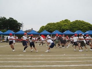 IMG_0267 IMG_0267