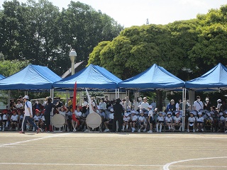IMG_0291 IMG_0291