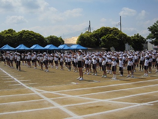 IMG_0301 IMG_0301