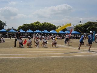 IMG_0311 IMG_0311