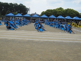 IMG_0316 IMG_0316
