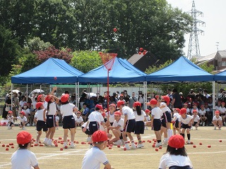IMG_0326 IMG_0326