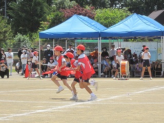 IMG_0332 IMG_0332