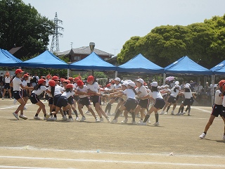 IMG_0347 IMG_0347