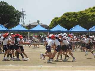IMG_0348 IMG_0348