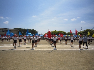IMG_0350 IMG_0350