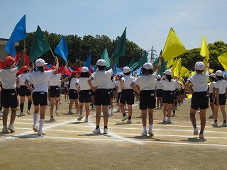 IMG_0366 IMG_0366