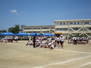 IMG_0395 IMG_0395