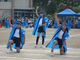 IMG_0322 IMG_0322