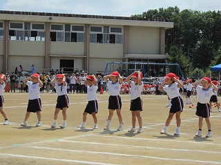 IMG_0328 IMG_0328