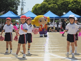 IMG_0336 IMG_0336