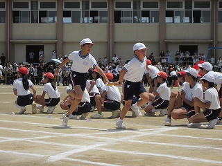 IMG_0382 IMG_0382