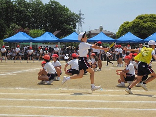 IMG_0388 IMG_0388