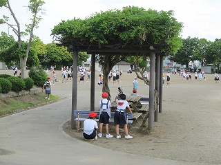 IMG_0433 IMG_0433