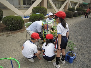 IMG_0030 IMG_0030