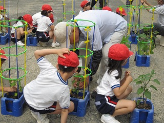 IMG_0039 IMG_0039