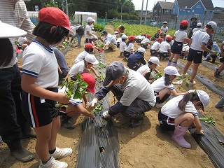 IMG_0073 IMG_0073