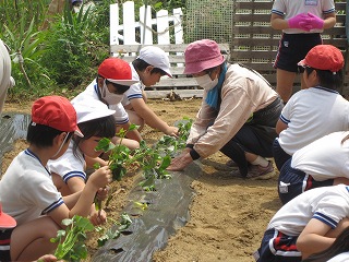 IMG_0075 IMG_0075