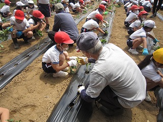 IMG_0082 IMG_0082