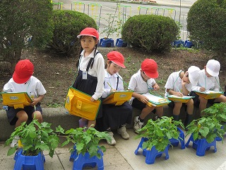 IMG_0127 IMG_0127