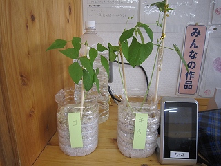 IMG_0112 IMG_0112