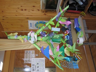 IMG_0049 IMG_0049