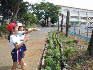 DSCN0178