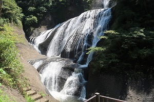 IMG_6263 IMG_6263