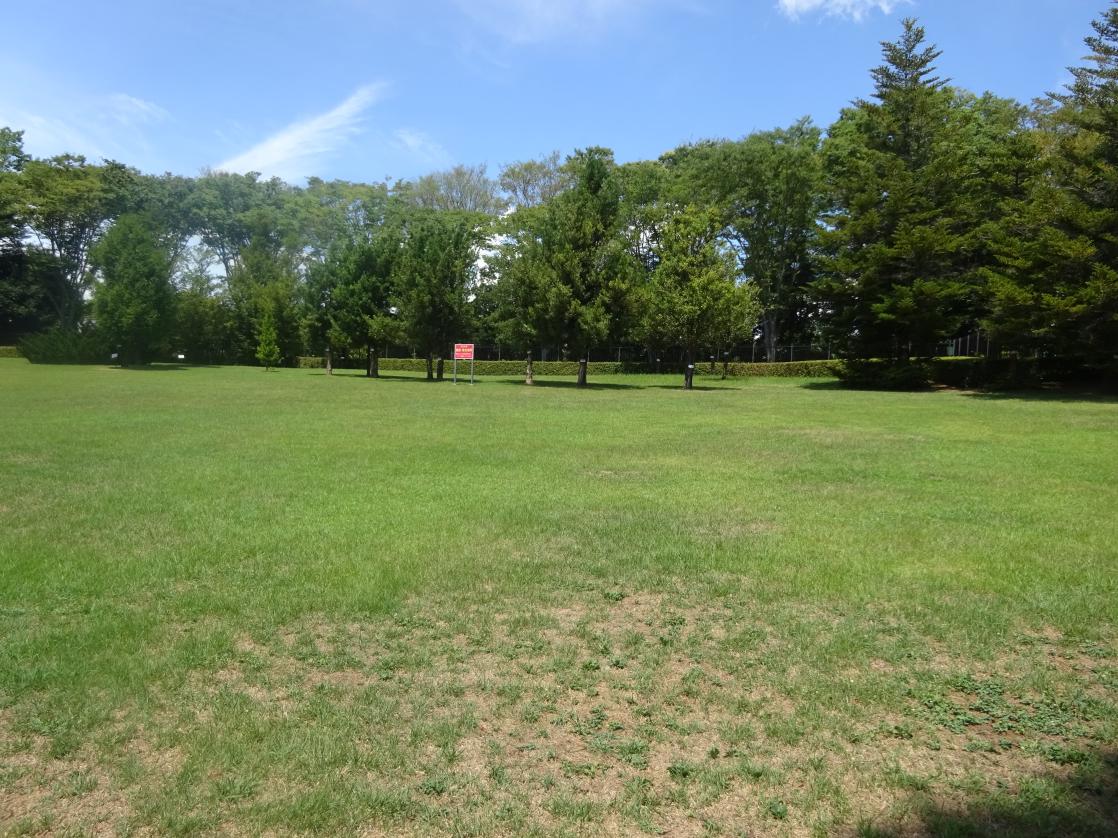 DSC03519 DSC03519