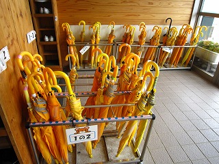IMG_0035 IMG_0035